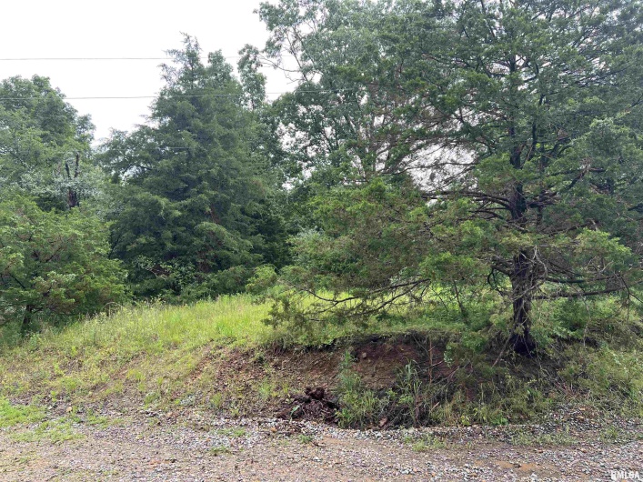 Lot 211 CHEROKEE Drive, Goreville, Illinois 62939, 0 , 0 ,0,Land,For Sale,CHEROKEE,0,RMAEB458273