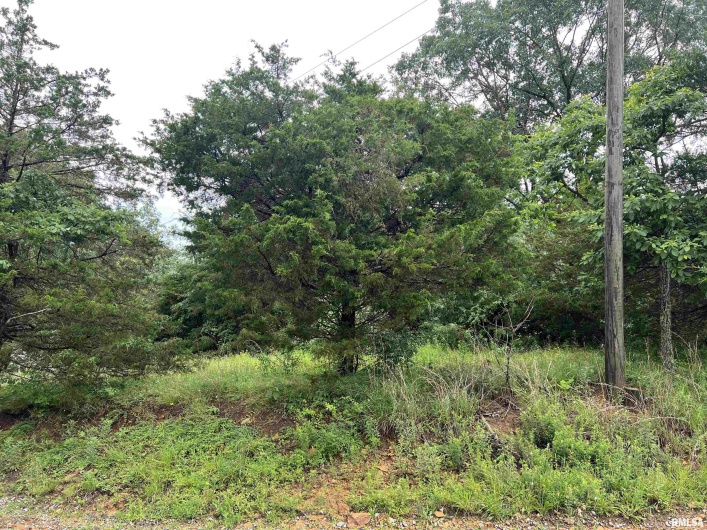 Lot 211 CHEROKEE Drive, Goreville, Illinois 62939, 0 , 0 ,0,Land,For Sale,CHEROKEE,0,RMAEB458273