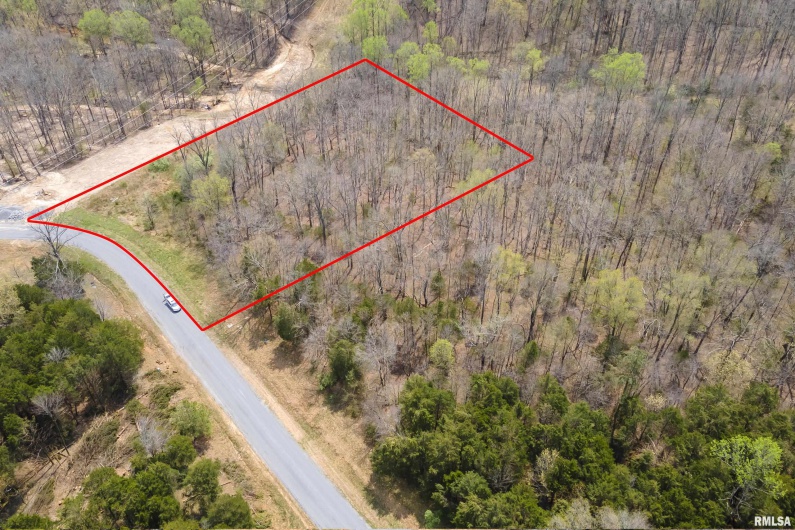0000 Clifty Lane, Goreville, Illinois 62939, 0 , 0 ,0,Land,For Sale,Clifty,0,RMAEB458281