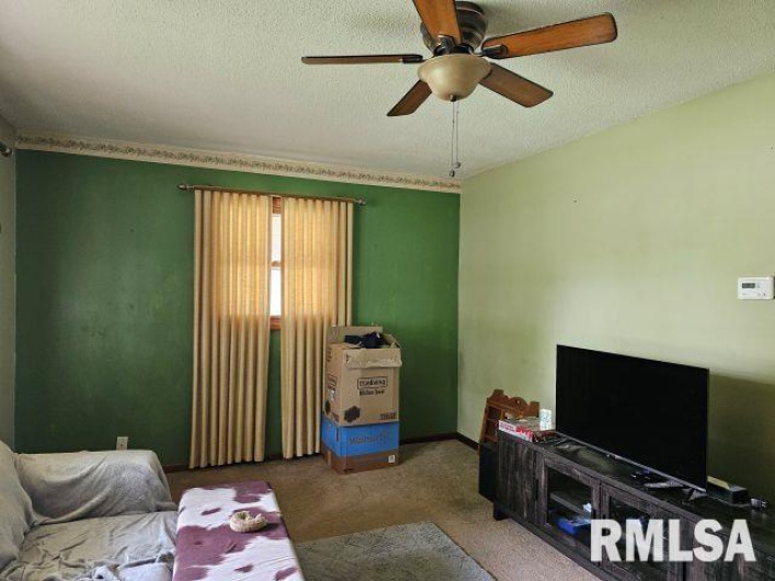 211 LINCOLN Street, Galatia, Illinois 62935, 2 Bedrooms Bedrooms, 0 ,1 BathroomBathrooms,Residential,For Sale,LINCOLN,0,RMAEB458284