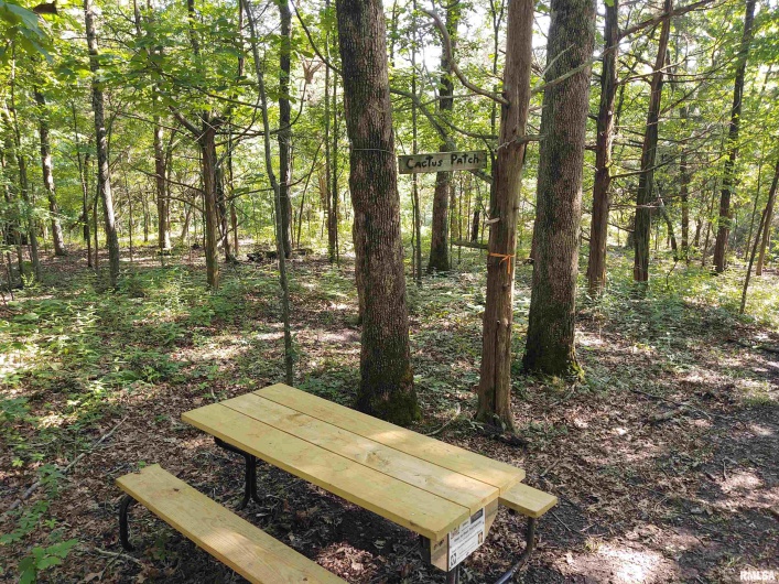 0000 Dutchman Trail, Vienna, Illinois 62995, 0 , 0 ,0,Land,For Sale,Dutchman,0,RMAEB458313