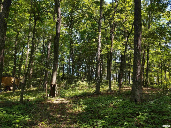 315 HOLLAND Lane, Vienna, Illinois 62995, 0 , 0 ,0,Land,For Sale,HOLLAND,0,RMAEB458335