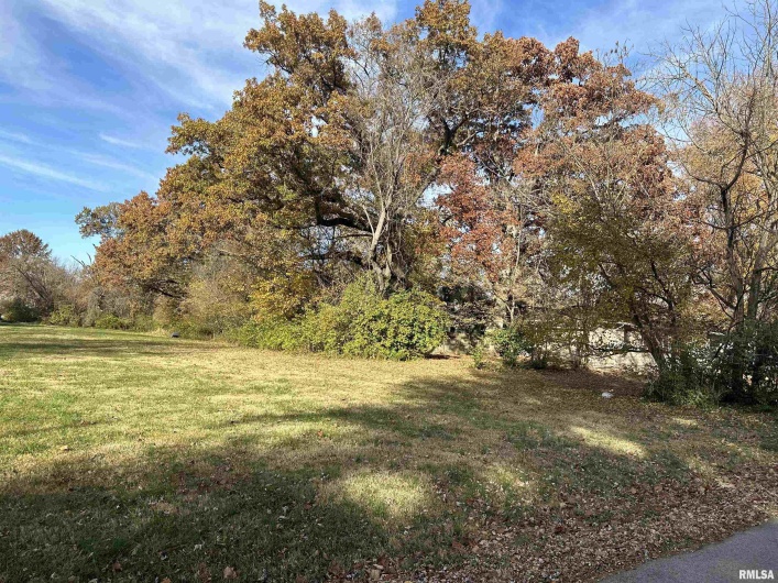 900 CHERRY Street, Carbondale, Illinois 62901, 0 , 0 ,0,Land,For Sale,CHERRY,0,RMAEB458356