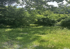 585 Berryville Road, Jonesboro, Illinois 62952, 0 , 0 ,0,Land,For Sale,Berryville,0,RMAQC4264245