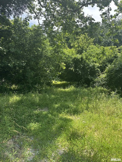 585 Berryville Road, Jonesboro, Illinois 62952, 0 , 0 ,0,Land,For Sale,Berryville,0,RMAQC4264245