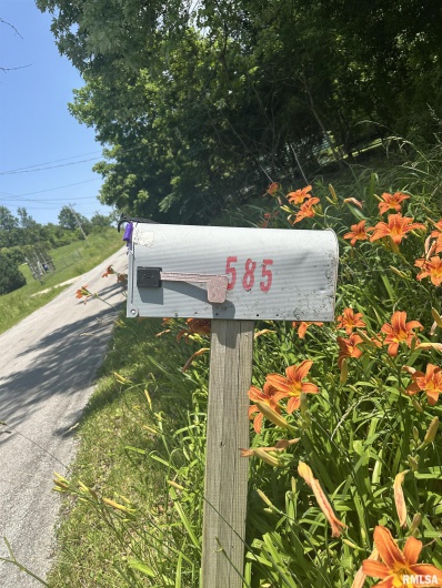 585 Berryville Road, Jonesboro, Illinois 62952, 0 , 0 ,0,Land,For Sale,Berryville,0,RMAQC4264245