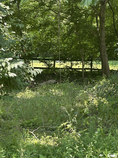 585 Berryville Road, Jonesboro, Illinois 62952, 0 , 0 ,0,Land,For Sale,Berryville,0,RMAQC4264245