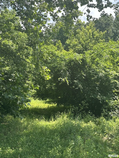 585 Berryville Road, Jonesboro, Illinois 62952, 0 , 0 ,0,Land,For Sale,Berryville,0,RMAQC4264245