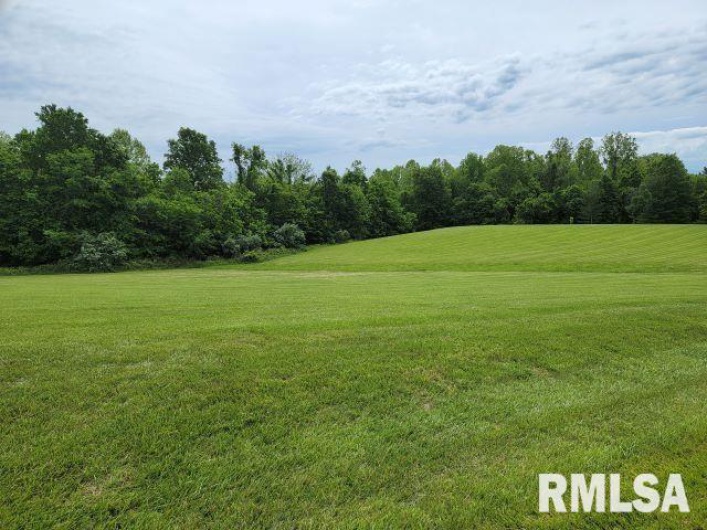 Lot 8 Irish Rose Lane, Carbondale, Illinois 62901, 0 , 0 ,0,Land,For Sale,Irish Rose,0,RMAEB456775