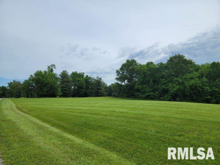 Lot 8 Irish Rose Lane, Carbondale, Illinois 62901, 0 , 0 ,0,Land,For Sale,Irish Rose,0,RMAEB456775