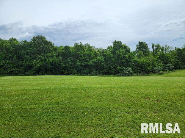 Lot 8 Irish Rose Lane, Carbondale, Illinois 62901, 0 , 0 ,0,Land,For Sale,Irish Rose,0,RMAEB456775
