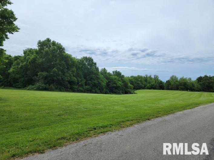 Lot 8 Irish Rose Lane, Carbondale, Illinois 62901, 0 , 0 ,0,Land,For Sale,Irish Rose,0,RMAEB456775