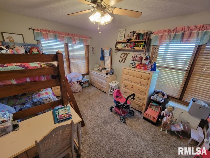 313 Double C Farm Lane, Dongola, Illinois 62964, 5 Bedrooms Bedrooms, 0 ,3 BathroomsBathrooms,Residential,For Sale,Double C Farm,0,RMAQC4264282