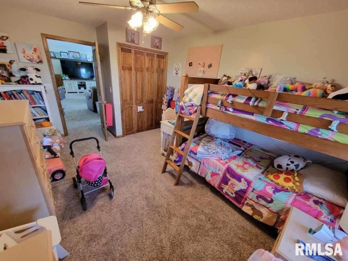 313 Double C Farm Lane, Dongola, Illinois 62964, 5 Bedrooms Bedrooms, 0 ,3 BathroomsBathrooms,Residential,For Sale,Double C Farm,0,RMAQC4264282