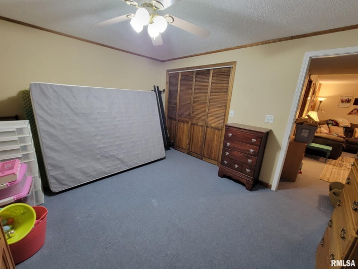 313 Double C Farm Lane, Dongola, Illinois 62964, 5 Bedrooms Bedrooms, 0 ,3 BathroomsBathrooms,Residential,For Sale,Double C Farm,0,RMAQC4264282