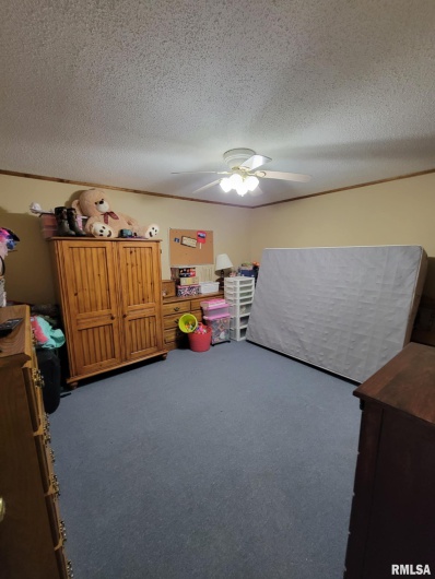 313 Double C Farm Lane, Dongola, Illinois 62964, 5 Bedrooms Bedrooms, 0 ,3 BathroomsBathrooms,Residential,For Sale,Double C Farm,0,RMAQC4264282
