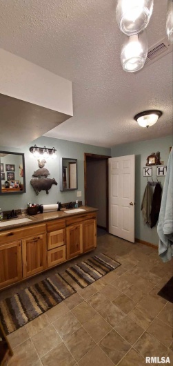313 Double C Farm Lane, Dongola, Illinois 62964, 5 Bedrooms Bedrooms, 0 ,3 BathroomsBathrooms,Residential,For Sale,Double C Farm,0,RMAQC4264282