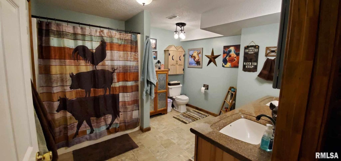 313 Double C Farm Lane, Dongola, Illinois 62964, 5 Bedrooms Bedrooms, 0 ,3 BathroomsBathrooms,Residential,For Sale,Double C Farm,0,RMAQC4264282