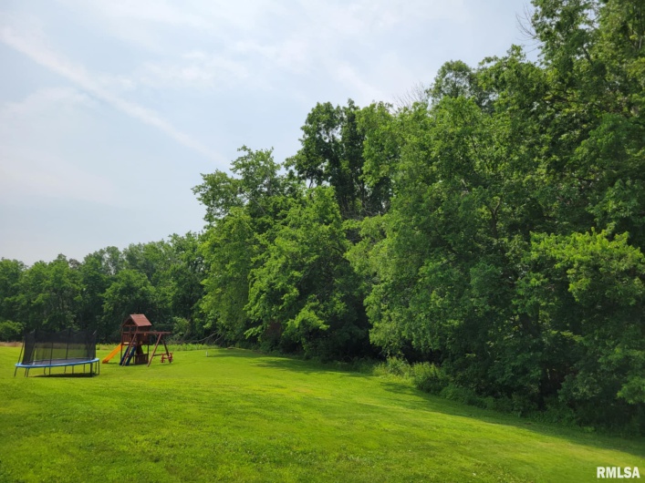 313 Double C Farm Lane, Dongola, Illinois 62964, 5 Bedrooms Bedrooms, 0 ,3 BathroomsBathrooms,Residential,For Sale,Double C Farm,0,RMAQC4264282