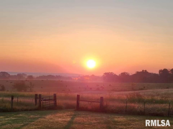 313 Double C Farm Lane, Dongola, Illinois 62964, 5 Bedrooms Bedrooms, 0 ,3 BathroomsBathrooms,Residential,For Sale,Double C Farm,0,RMAQC4264282