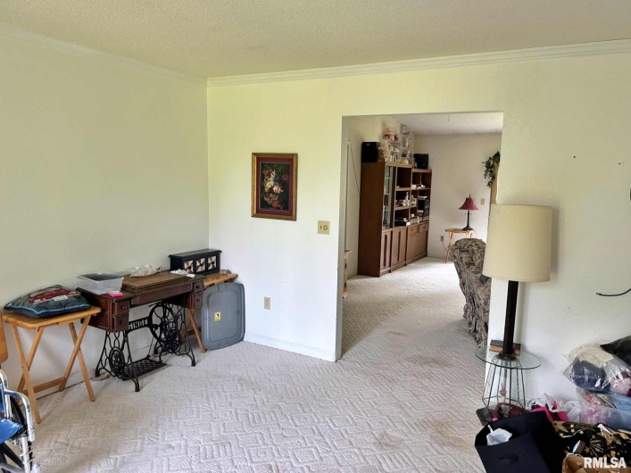 27 Grasty Road, Golconda, Illinois 62938, 2 Bedrooms Bedrooms, 0 ,2 BathroomsBathrooms,Residential,For Sale,Grasty,0,RMAEB458437