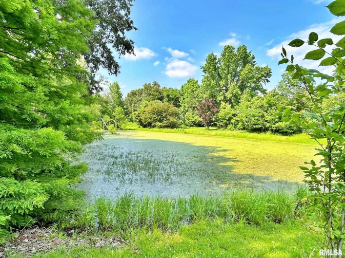 27 Grasty Road, Golconda, Illinois 62938, 2 Bedrooms Bedrooms, 0 ,2 BathroomsBathrooms,Residential,For Sale,Grasty,0,RMAEB458437