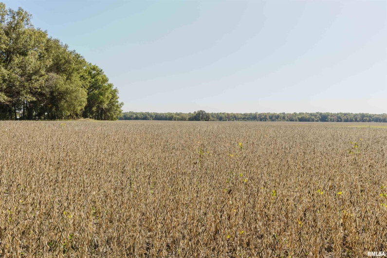 0000 PARK Avenue, Herrin, Illinois 62948, 0 , 0 ,0,Land,For Sale,PARK,0,RMAQC4257407