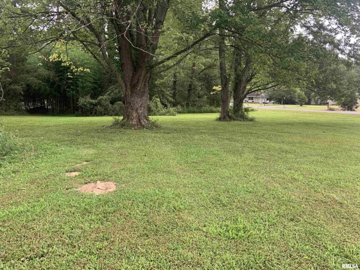 00 HARRIS Lane, Murphysboro, Illinois 62966, 0 , 0 ,0,Land,For Sale,HARRIS,0,RMAEB458468