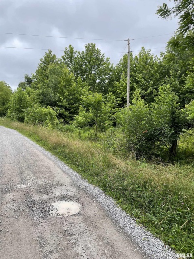 247 Happy Holler Road, Dongola, Illinois 62926, 0 , 0 ,0,Land,For Sale,Happy Holler,0,RMAEB458492