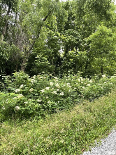 247 Happy Holler Road, Dongola, Illinois 62926, 0 , 0 ,0,Land,For Sale,Happy Holler,0,RMAEB458492