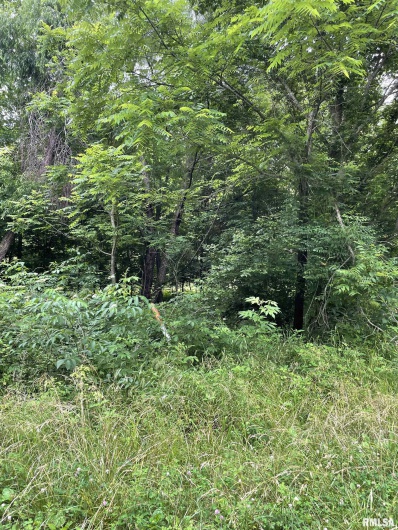 247 Happy Holler Road, Dongola, Illinois 62926, 0 , 0 ,0,Land,For Sale,Happy Holler,0,RMAEB458492
