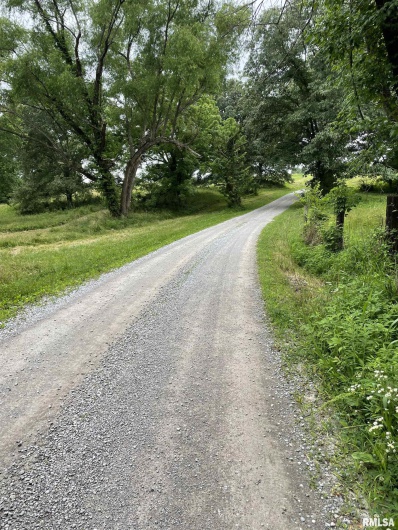 247 Happy Holler Road, Dongola, Illinois 62926, 0 , 0 ,0,Land,For Sale,Happy Holler,0,RMAEB458492