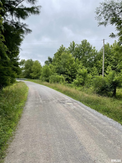 247 Happy Holler Road, Dongola, Illinois 62926, 0 , 0 ,0,Land,For Sale,Happy Holler,0,RMAEB458492
