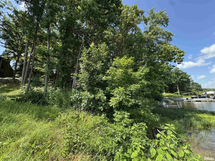0000 LAKESHORE Drive, Goreville, Illinois 62939, 0 , 0 ,0,Land,For Sale,LAKESHORE,0,RMAEB458496