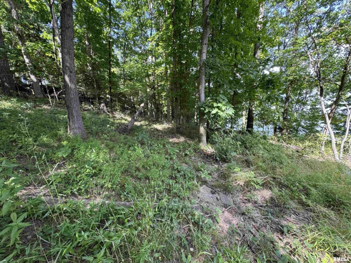 0000 LAKESHORE Drive, Goreville, Illinois 62939, 0 , 0 ,0,Land,For Sale,LAKESHORE,0,RMAEB458496