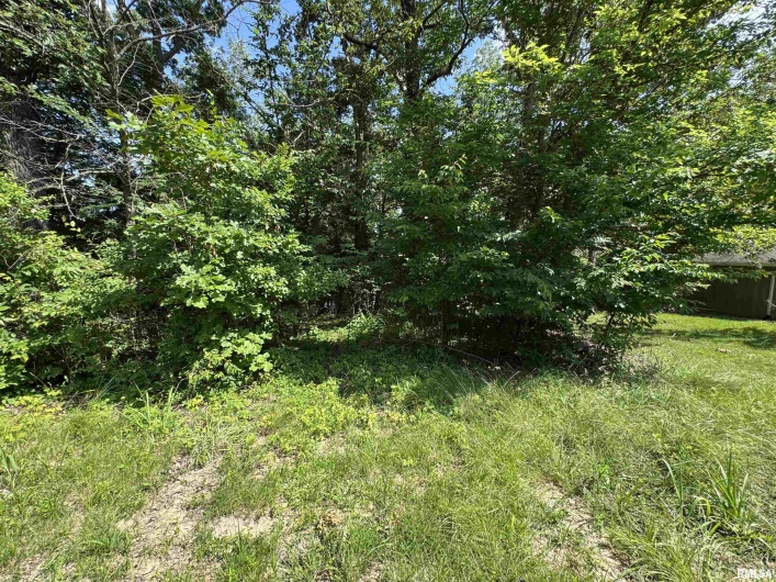 0000 LAKESHORE Drive, Goreville, Illinois 62939, 0 , 0 ,0,Land,For Sale,LAKESHORE,0,RMAEB458496