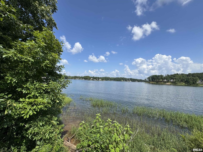 0000 LAKESHORE Drive, Goreville, Illinois 62939, 0 , 0 ,0,Land,For Sale,LAKESHORE,0,RMAEB458496