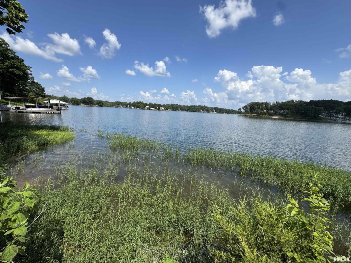 0000 LAKESHORE Drive, Goreville, Illinois 62939, 0 , 0 ,0,Land,For Sale,LAKESHORE,0,RMAEB458496