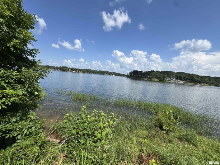 0000 LAKESHORE Drive, Goreville, Illinois 62939, 0 , 0 ,0,Land,For Sale,LAKESHORE,0,RMAEB458496