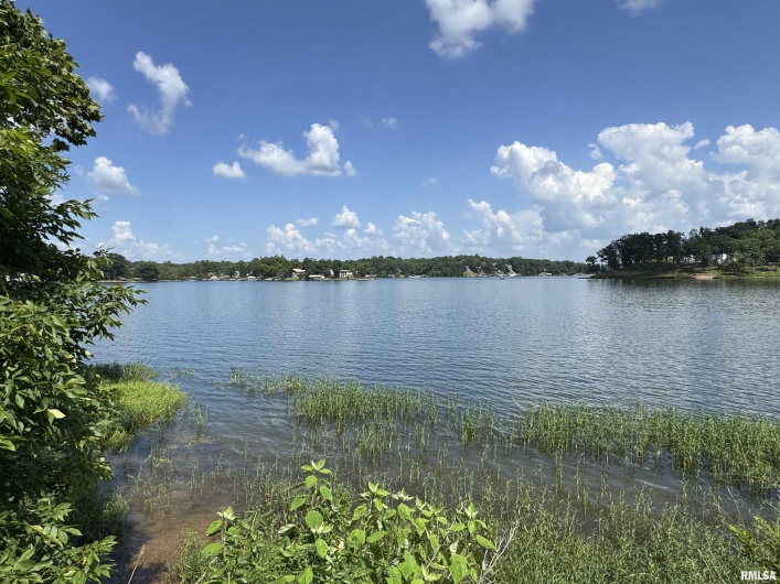 0000 LAKESHORE Drive, Goreville, Illinois 62939, 0 , 0 ,0,Land,For Sale,LAKESHORE,0,RMAEB458496