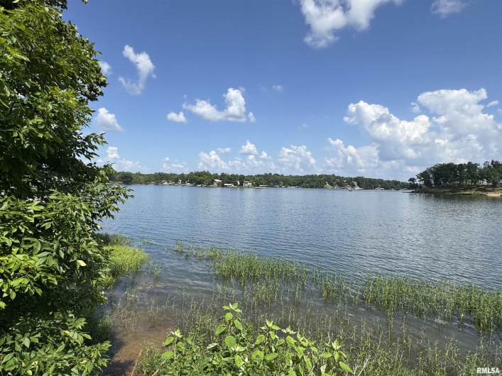 0000 LAKESHORE Drive, Goreville, Illinois 62939, 0 , 0 ,0,Land,For Sale,LAKESHORE,0,RMAEB458496
