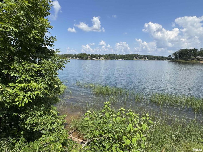 0000 LAKESHORE Drive, Goreville, Illinois 62939, 0 , 0 ,0,Land,For Sale,LAKESHORE,0,RMAEB458496