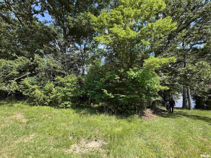 0000 LAKESHORE Drive, Goreville, Illinois 62939, 0 , 0 ,0,Land,For Sale,LAKESHORE,0,RMAEB458496
