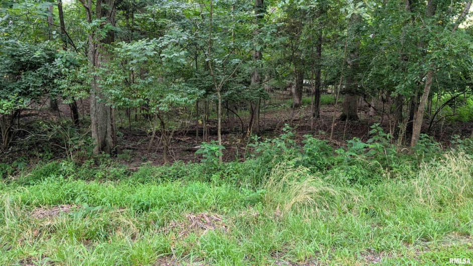 00 Lake Shore Drive South, Goreville, Illinois 62939, 0 , 0 ,0,Land,For Sale,Lake Shore Drive South,0,RMAEB458556