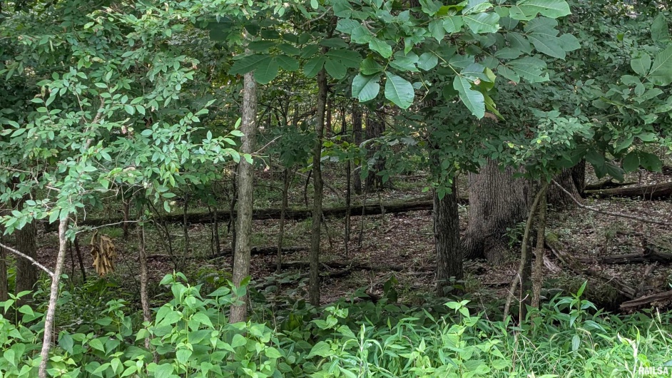 00 Lake Shore Drive South, Goreville, Illinois 62939, 0 , 0 ,0,Land,For Sale,Lake Shore Drive South,0,RMAEB458556