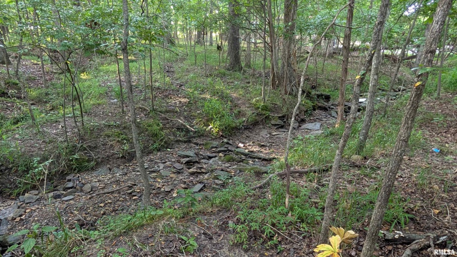 00 Lake Shore Drive South, Goreville, Illinois 62939, 0 , 0 ,0,Land,For Sale,Lake Shore Drive South,0,RMAEB458556