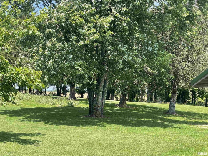 9595 Old Highway 51 N, Cobden, Illinois 62920, 2 Bedrooms Bedrooms, 0 ,2 BathroomsBathrooms,Residential,For Sale,Old Highway 51 N,0,RMAEB458558