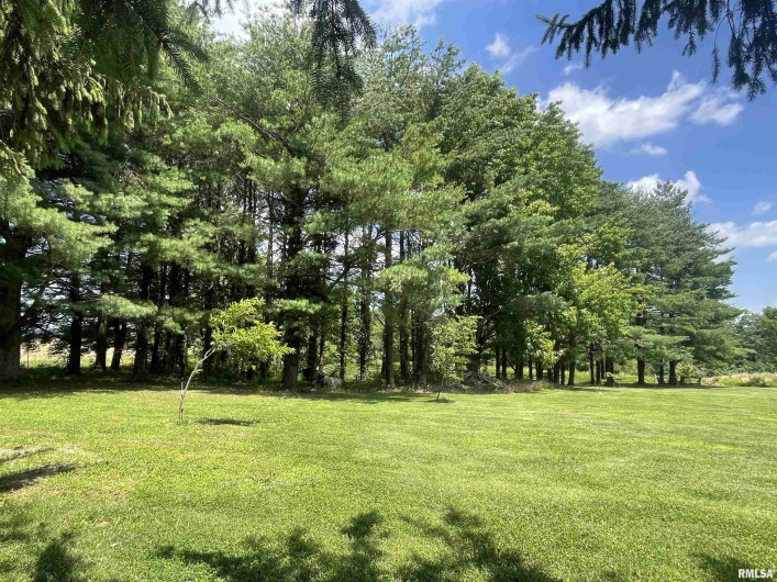 9595 Old Highway 51 N, Cobden, Illinois 62920, 2 Bedrooms Bedrooms, 0 ,2 BathroomsBathrooms,Residential,For Sale,Old Highway 51 N,0,RMAEB458558
