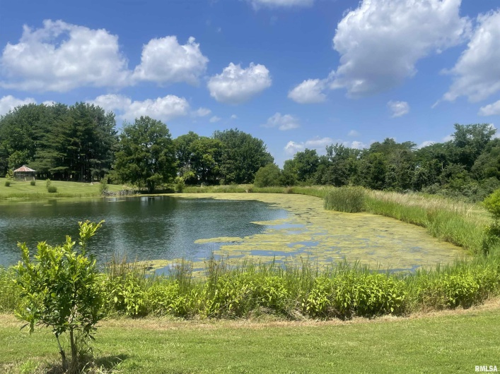 9595 Old Highway 51 N, Cobden, Illinois 62920, 2 Bedrooms Bedrooms, 0 ,2 BathroomsBathrooms,Residential,For Sale,Old Highway 51 N,0,RMAEB458558