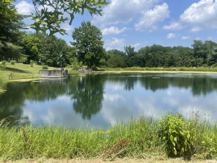 9595 Old Highway 51 N, Cobden, Illinois 62920, 2 Bedrooms Bedrooms, 0 ,2 BathroomsBathrooms,Residential,For Sale,Old Highway 51 N,0,RMAEB458558